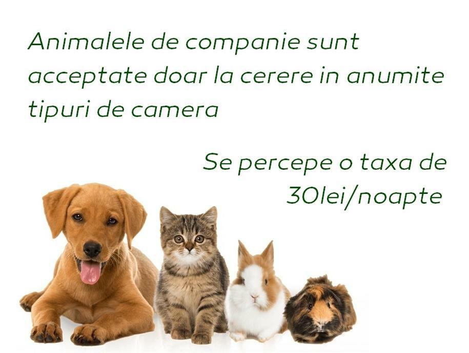 Vila Privilege Felix Félixfürdő Kültér fotó